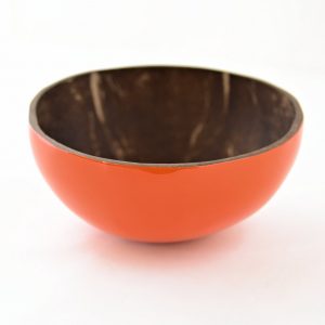 Orange coconut bowl supplier